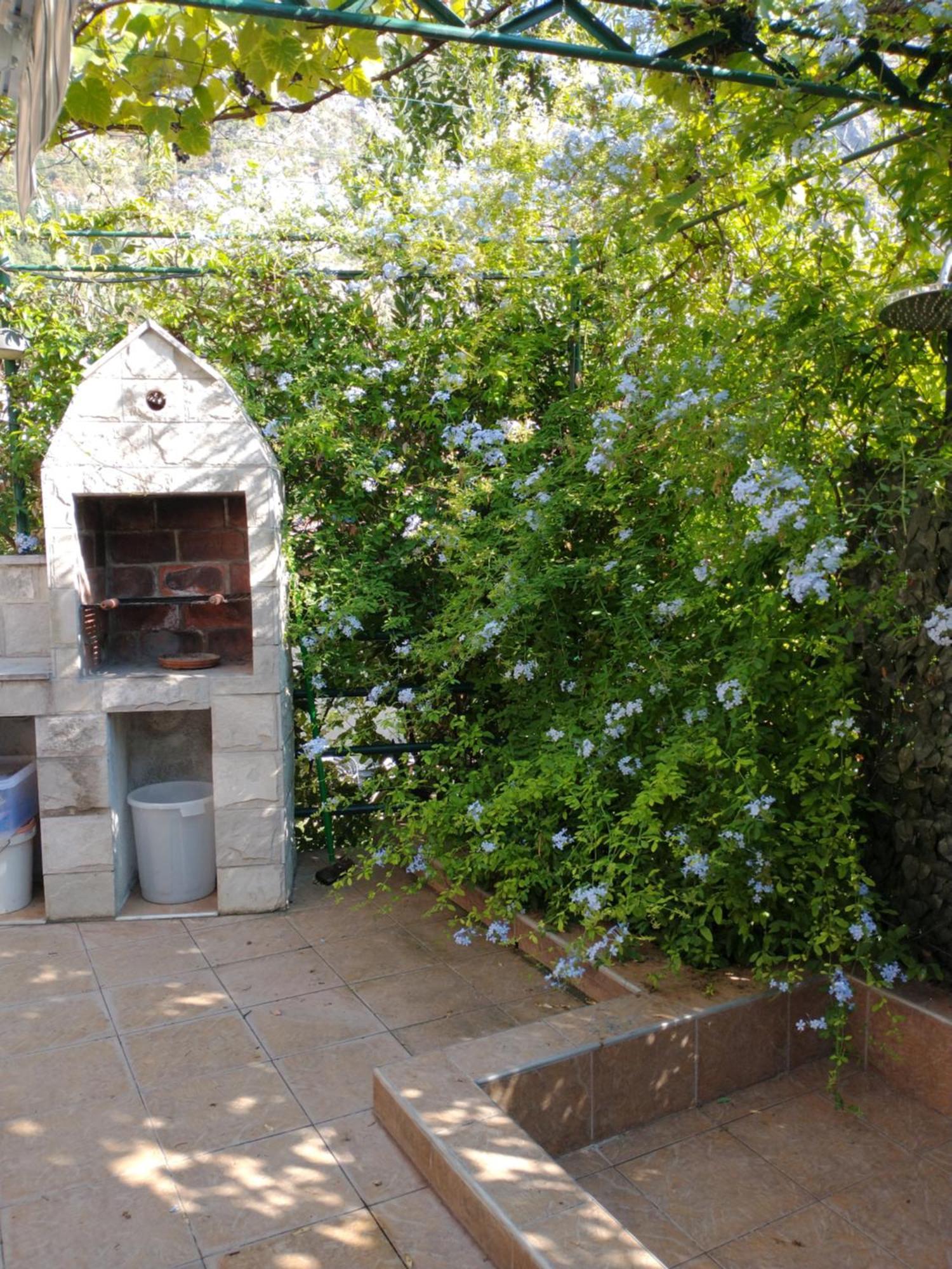 Ecohouse Risan Studio Exterior foto